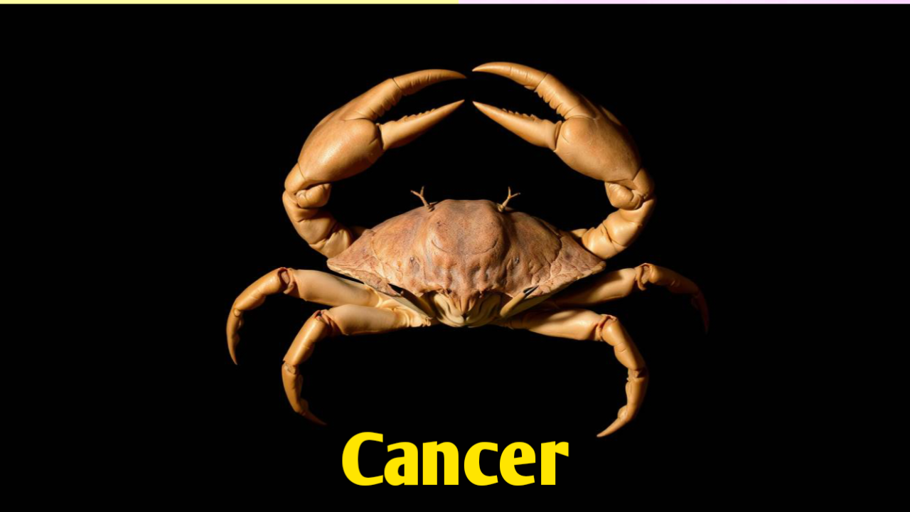 Cancer Love Horoscope May 2025